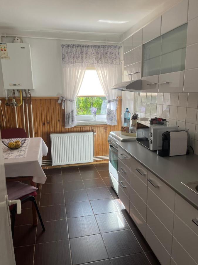 Апартаменти L&D Apartament Сібіу Екстер'єр фото